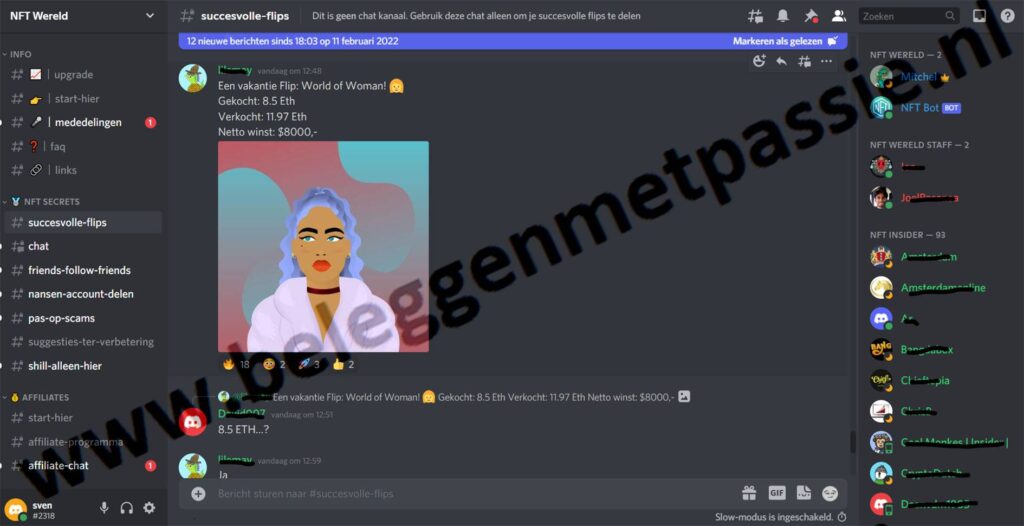 Op deze foto zie je de NFT Secrets Discord Community