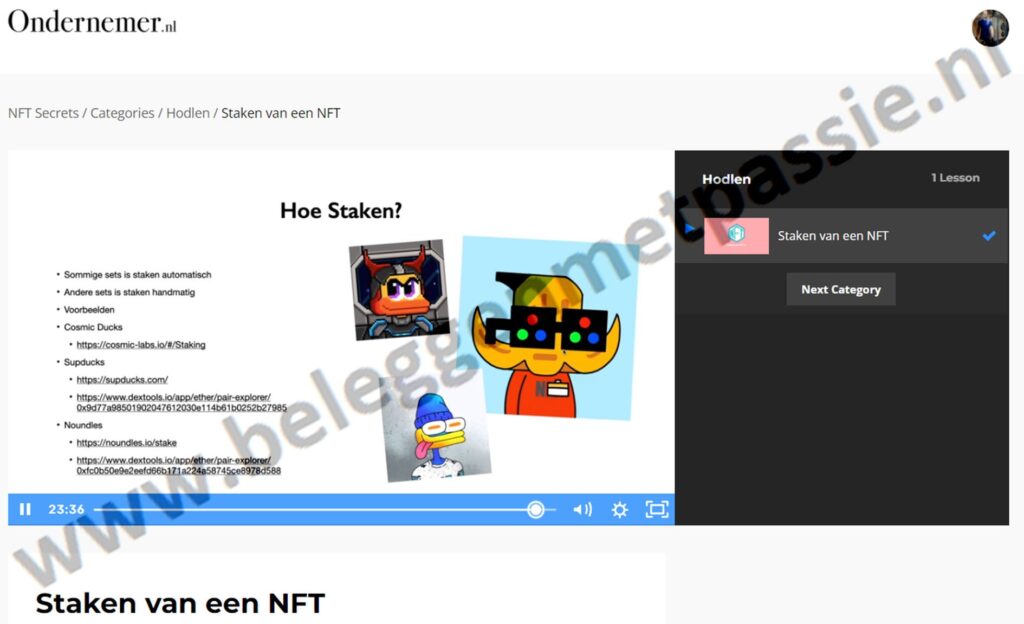 Op deze foto zie je Module #5: Hodlen van NFT Secrets