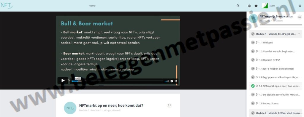 Op deze foto zie je NFT Stoomcursus van NFTwegwijs, mijn nummer #2 van beste NFT cursus