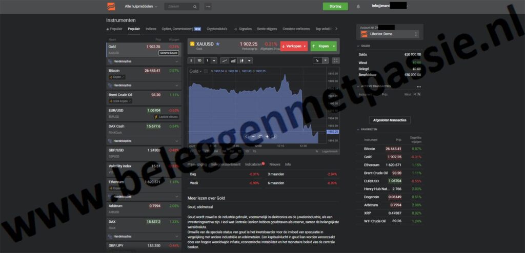 Op deze foto zie je het Libertex demo account