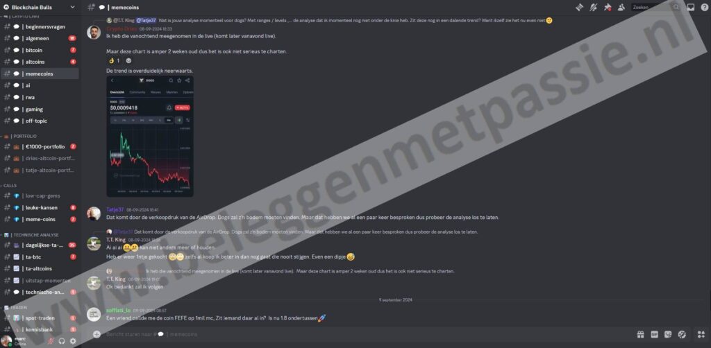 Op deze foto zie je de memecoins chat van Crypto.Dries in de Blockchain Bulls Community