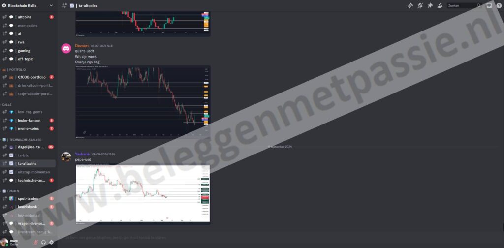 Op deze foto zie je Blockchain Bulls, mijn #3 van beste crypto trading signals